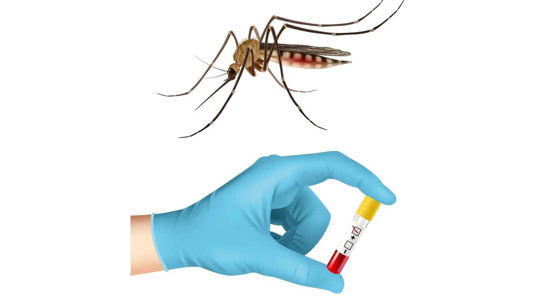 Choosing Affordable Dengue Testing